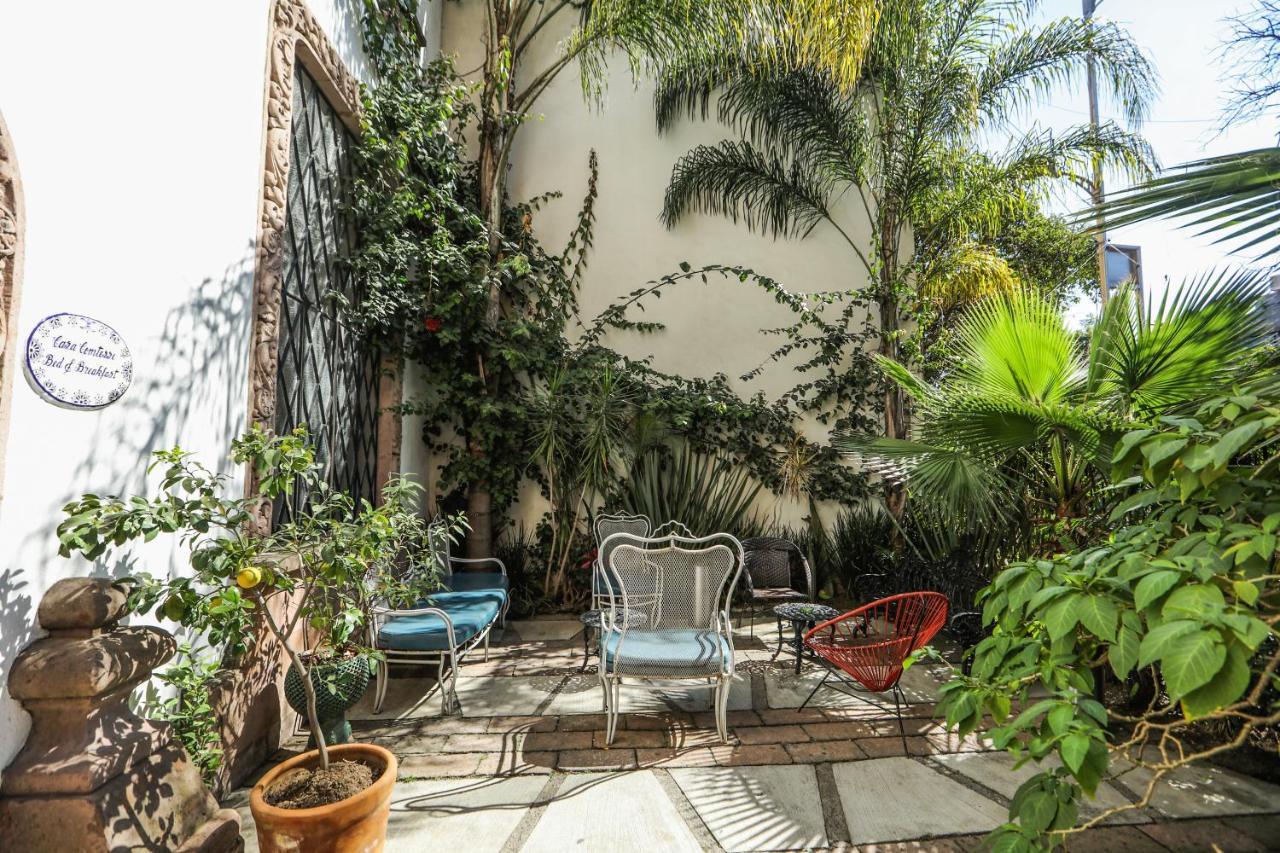 לינה וארוחת בוקר מקסיקו סיטי Casa Comtesse מראה חיצוני תמונה